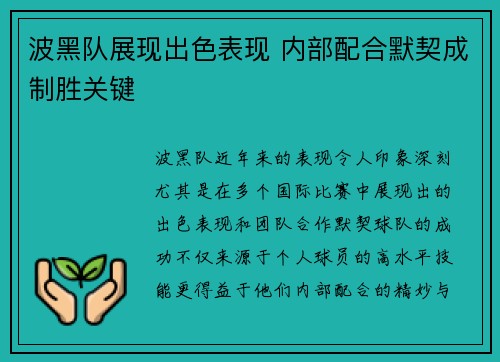 波黑队展现出色表现 内部配合默契成制胜关键